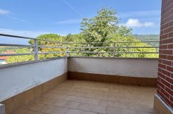 Piso – Centro