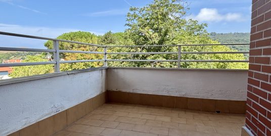 Piso – Centro