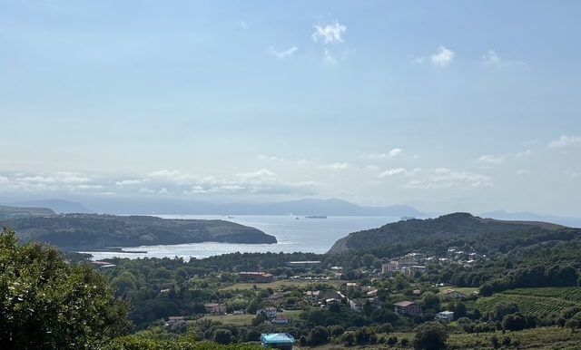 IMG_6721
